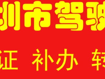 深圳汽車一站式服務(wù)指南 代辦過(guò)戶、年檢、綠標(biāo)、違章咨詢與車險(xiǎn)辦理